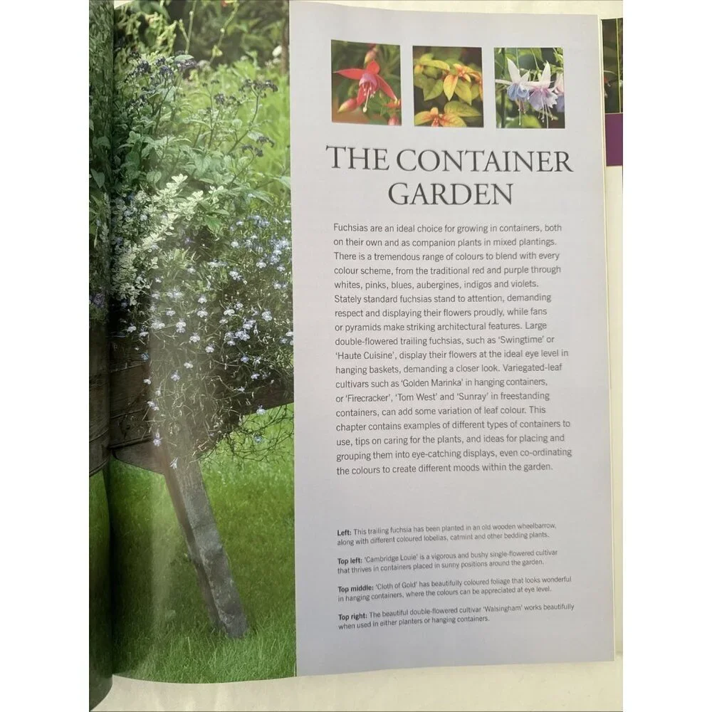 JOHN NICHOLASS - THE ILLUSTRATED GARDENER'S GUIDE TO GROWING FUCHSIAS